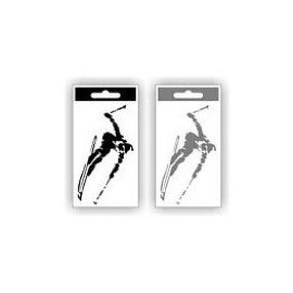 Samolepka SKI stříbrná