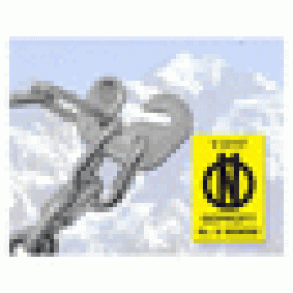 SNĚHOVÉ ŘETĚZY SUV-VAN ONORM vel. 210