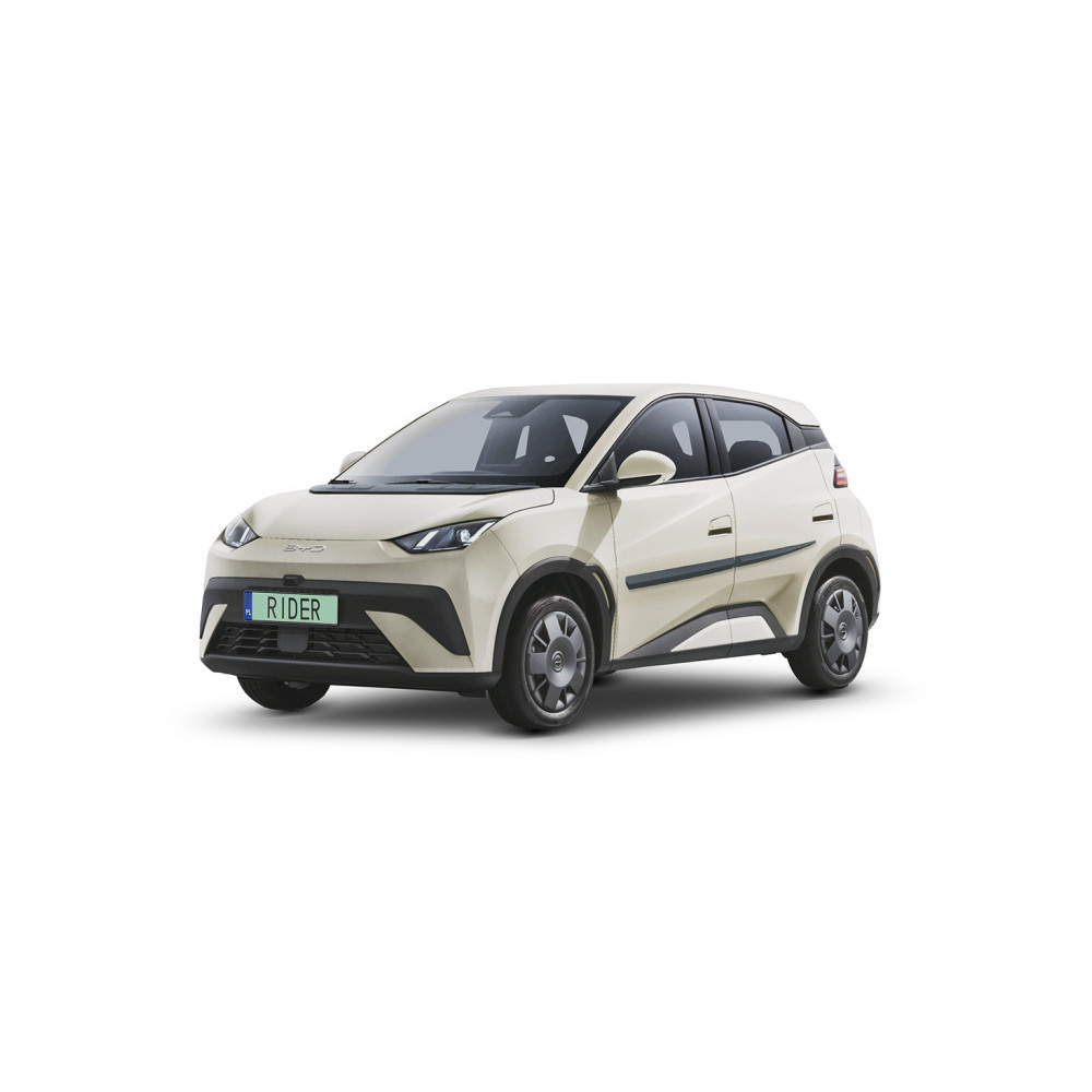 Boční lišty dveří BYD Dolphin Surf 2025-